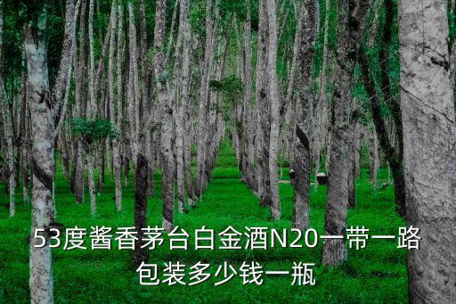 53度醬香茅臺白金酒N20一帶一路包裝多少錢一瓶
