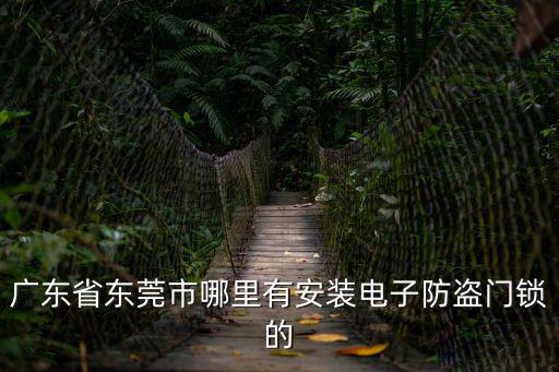 廣東省東莞市哪里有安裝電子防盜門鎖的