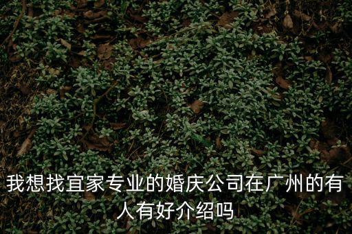 我想找宜家專業的婚慶公司在廣州的有人有好介紹嗎