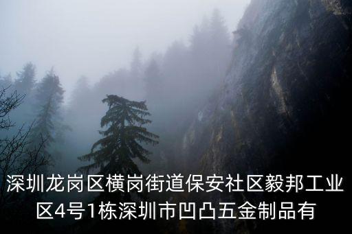 深圳龍崗區橫崗街道保安社區毅邦工業區4號1棟深圳市凹凸五金制品有