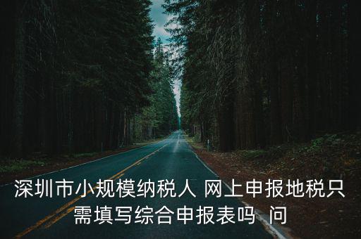 深圳市小規(guī)模納稅人 網(wǎng)上申報地稅只需填寫綜合申報表嗎  問