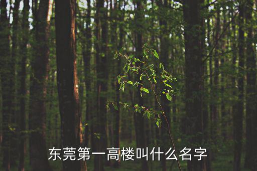 東莞第一高樓叫什么名字