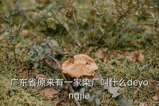東莞永利達紡織有限公司，常平附近哪里有有實力的紡織品公司啊