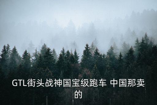 GTL街頭戰神國寶級跑車 中國那賣的