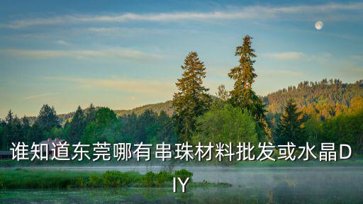 誰知道東莞哪有串珠材料批發或水晶DIY