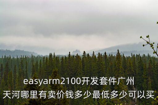 廣州從興電子開發(fā)有限公司 02，easyarm2100開發(fā)套件廣州天河哪里有賣價錢多少最低多少可以買