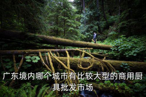廣東境內哪個城市有比較大型的商用廚具批發市場