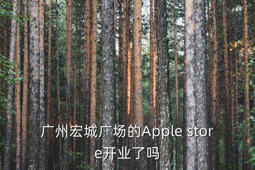 廣州宏城廣場的Apple store開業了嗎