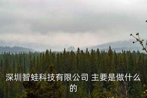 深圳智蛙科技有限公司 主要是做什么的