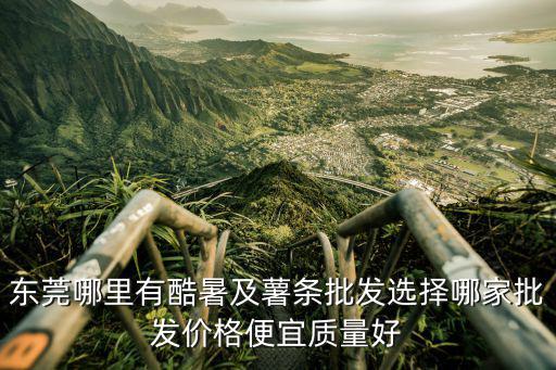 東莞哪里有酷暑及薯條批發選擇哪家批發價格便宜質量好