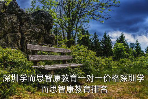 深圳學(xué)而思智康教育一對(duì)一價(jià)格深圳學(xué)而思智康教育排名