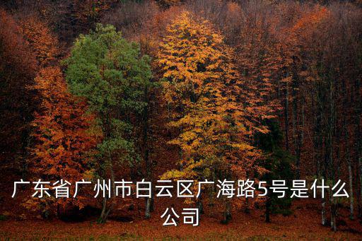 廣東省廣州市白云區廣海路5號是什么公司