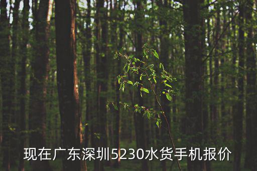 現在廣東深圳5230水貨手機報價