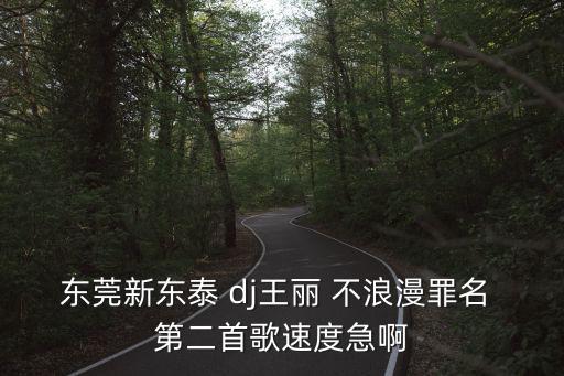 東莞新東泰 dj王麗 不浪漫罪名 第二首歌速度急啊