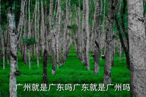 廣州就是廣東嗎廣東就是廣州嗎