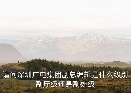 深圳優悅廣播 張森，請問深圳廣電集團副總編輯是什么級別副廳級還是副處級