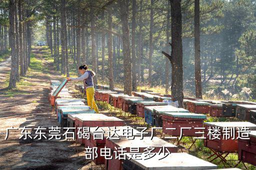 廣東東莞石碣臺達電子廠二廠三樓制造部電話是多少