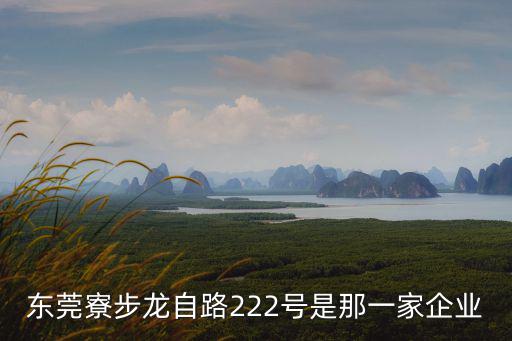 東莞寮步龍自路222號是那一家企業(yè)