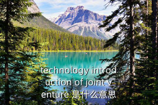 technology introduction of joint venture 是什么意思