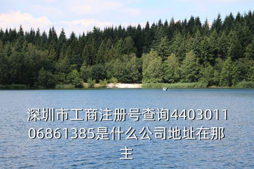 深圳市工商注冊號查詢440301106861385是什么公司地址在那主