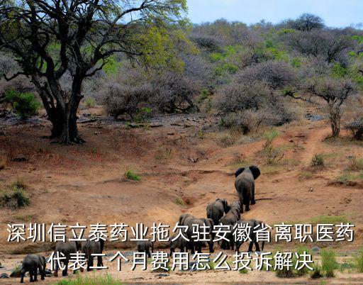 深圳信立泰藥業拖欠駐安徽省離職醫藥代表二個月費用怎么投訴解決