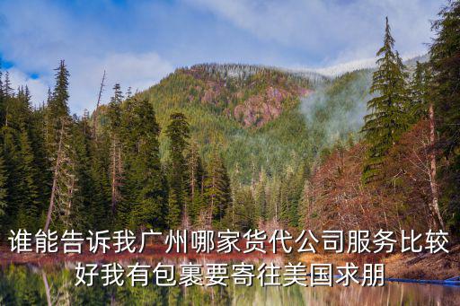 誰能告訴我廣州哪家貨代公司服務比較好我有包裹要寄往美國求朋