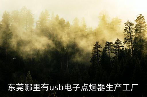 東莞申訊電子科技有限公司，東莞新能源有限公司