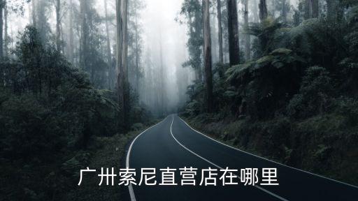 廣卅索尼直營店在哪里