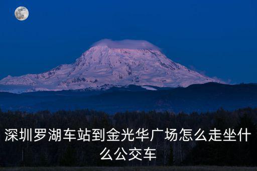 深圳羅湖車站到金光華廣場怎么走坐什么公交車