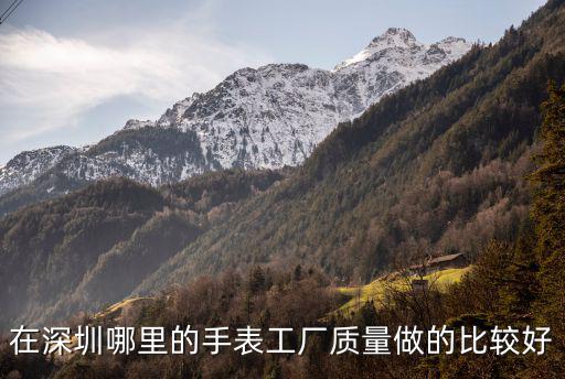 深圳手表廠，深圳手表加工廠有那些啊