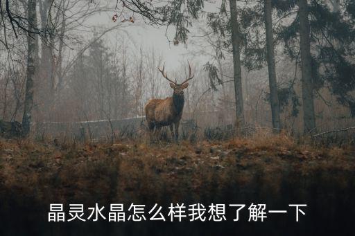晶靈水晶怎么樣我想了解一下