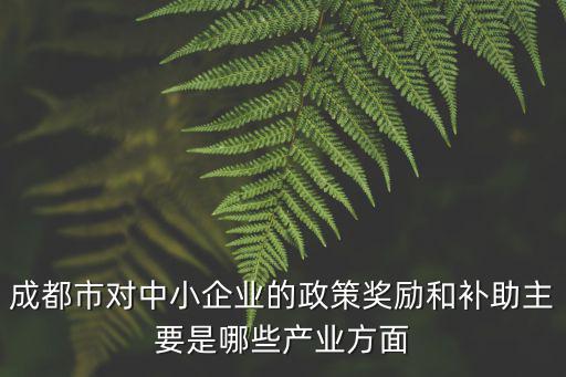 成都市對中小企業的政策獎勵和補助主要是哪些產業方面