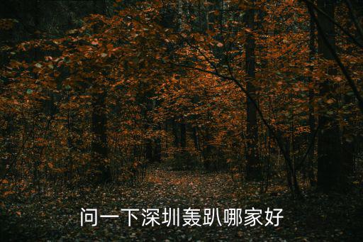 深圳轟趴場地，潮樂轟趴 深圳潮樂轟趴在哪是別墅嗎