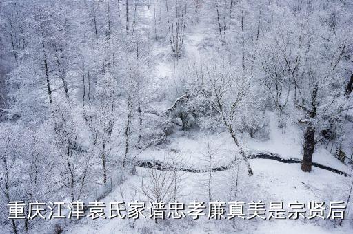重慶江津袁氏家譜忠孝廉真美是宗賢后