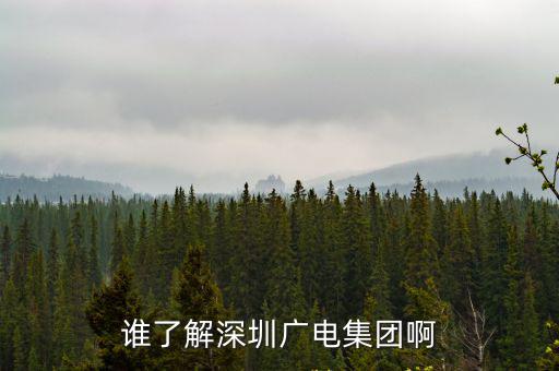 誰了解深圳廣電集團啊