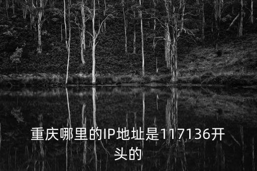 重慶哪里的IP地址是117136開(kāi)頭的