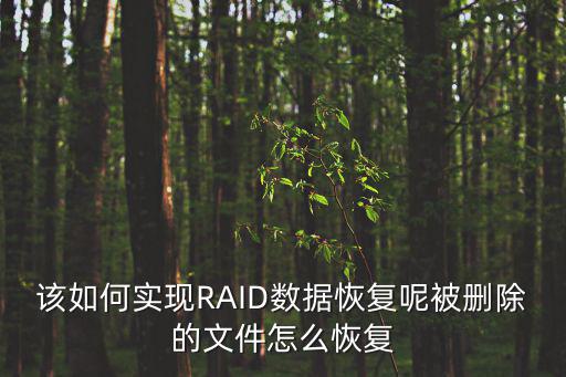 深圳raid數(shù)據(jù)恢復(fù)，RAID1數(shù)據(jù)恢復(fù)