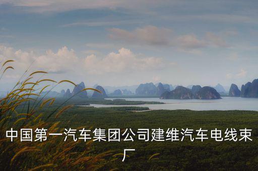 中國第一汽車集團公司建維汽車電線束廠