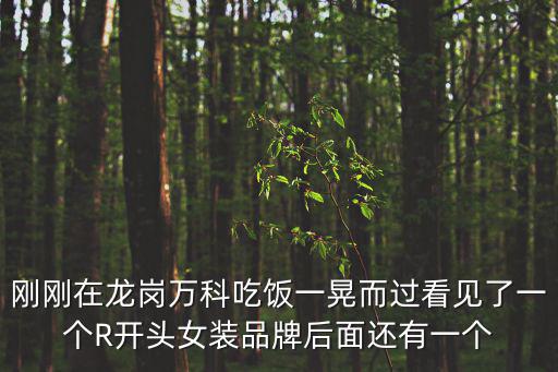 剛剛在龍崗萬科吃飯一晃而過看見了一個R開頭女裝品牌后面還有一個
