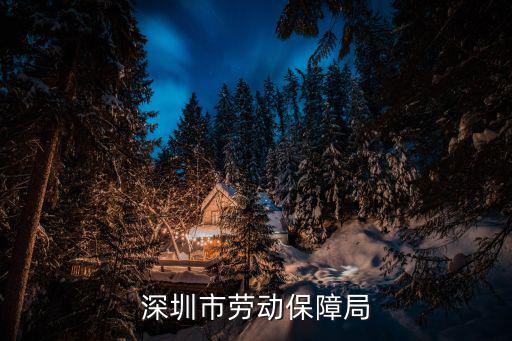 深圳市勞動保障局