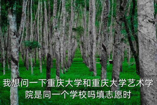 我想問一下重慶大學和重慶大學藝術學院是同一個學校嗎填志愿時