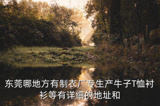 東莞哪地方有制衣廠專生產牛子T恤襯衫等有詳細的地址和