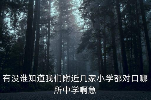 有沒誰知道我們附近幾家小學都對口哪所中學啊急