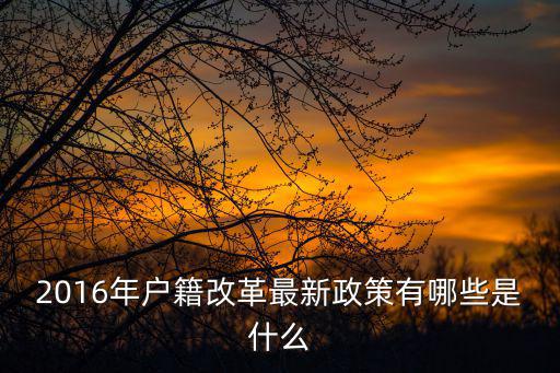 2016年戶籍改革最新政策有哪些是什么