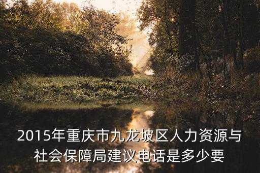2015年重慶市九龍坡區人力資源與社會保障局建議電話是多少要