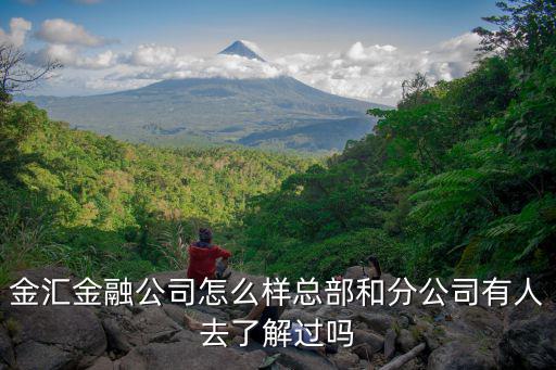 金匯金融公司怎么樣總部和分公司有人去了解過嗎