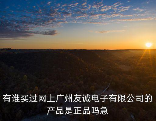 廣州友誠舞臺燈光有限公司，有誰買過網上廣州友誠電子有限公司的產品是正品嗎急
