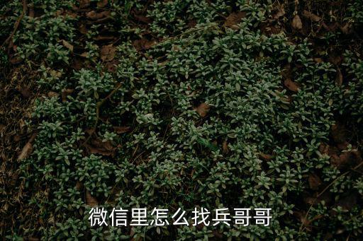 微信里怎么找兵哥哥