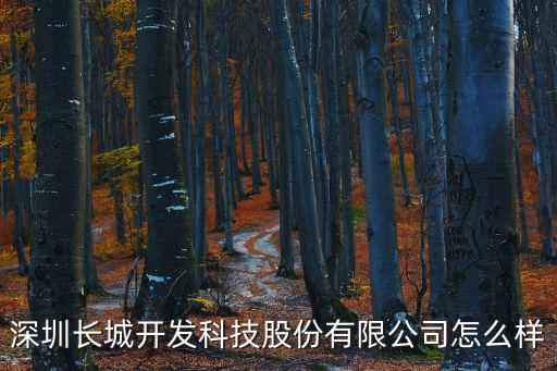 深圳長城開發科技股份有限公司怎么樣