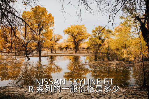 NISSAN SKYLINE GTR 系列的一般價格是多少